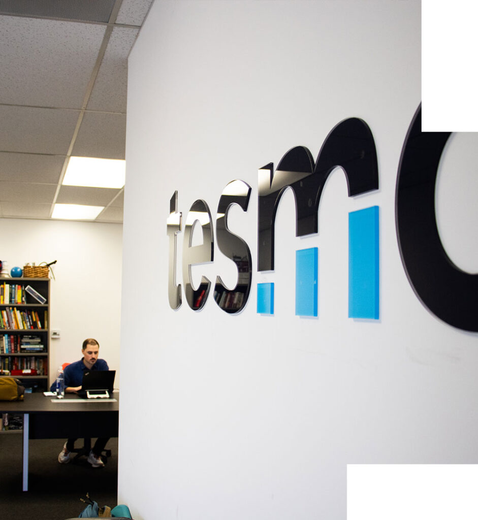 The TESMO team